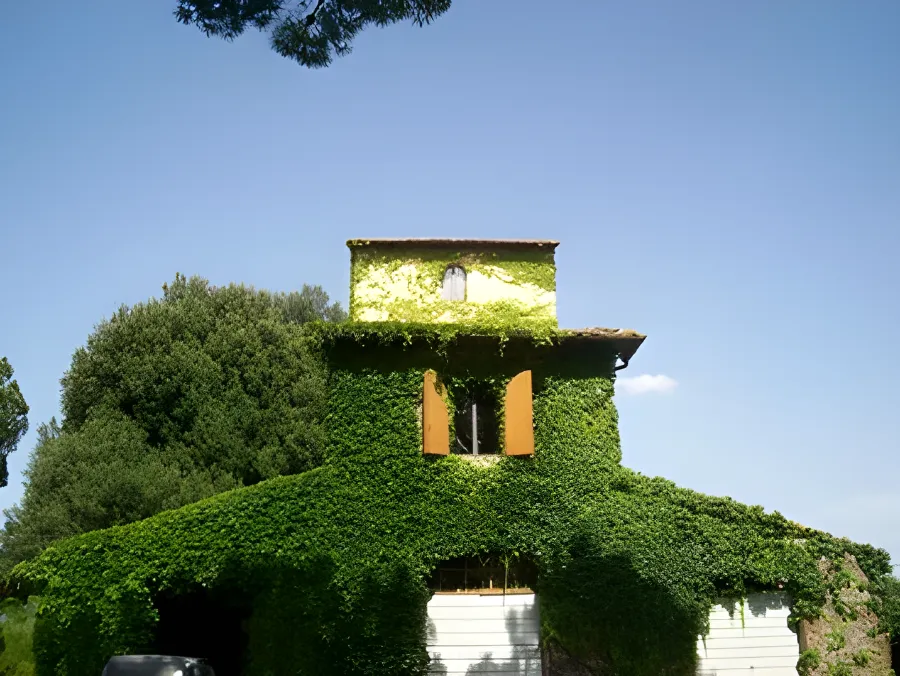 Villa coperta d’edera con persiane arancio